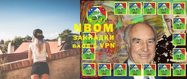 индика Лагань