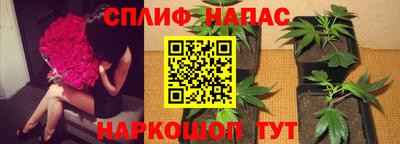jwh Коммунар