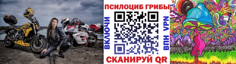 Галлюциногенные грибы Psilocybe  наркотики  Строитель 