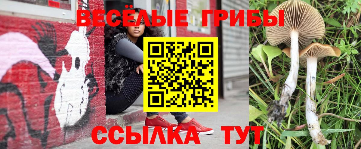 Cocaine  Гашиш  Строитель  МЕТ  MDMA  Канабис  МЕФ   Вход с VPN 