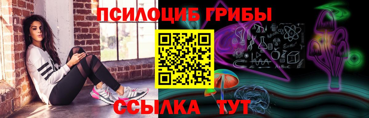 Псилоцибиновые грибы Psilocybine cubensis  Вход с VPN  даркнет сайт  Строитель 