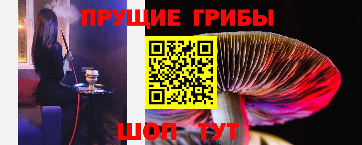Галлюциногенные грибы мицелий Строитель